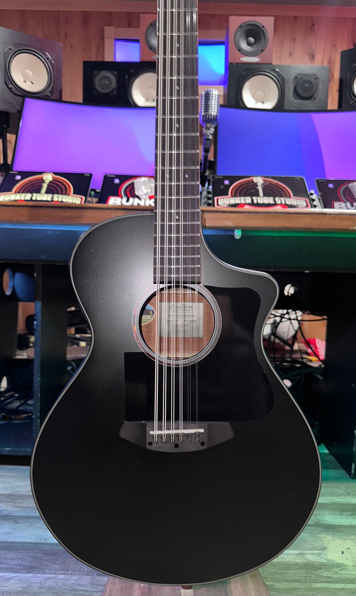 Custom Breedlove Black 12 String – TK Power Guitars