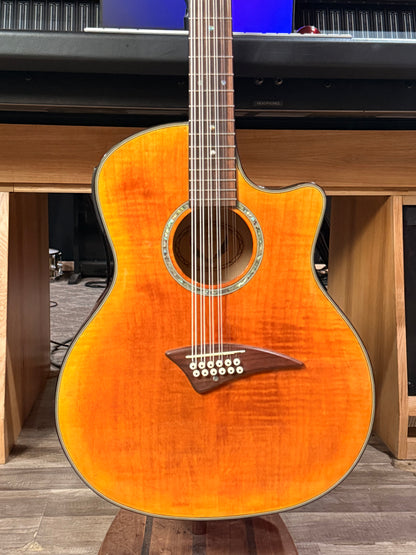 Dean 12 String Acoustic Guitar