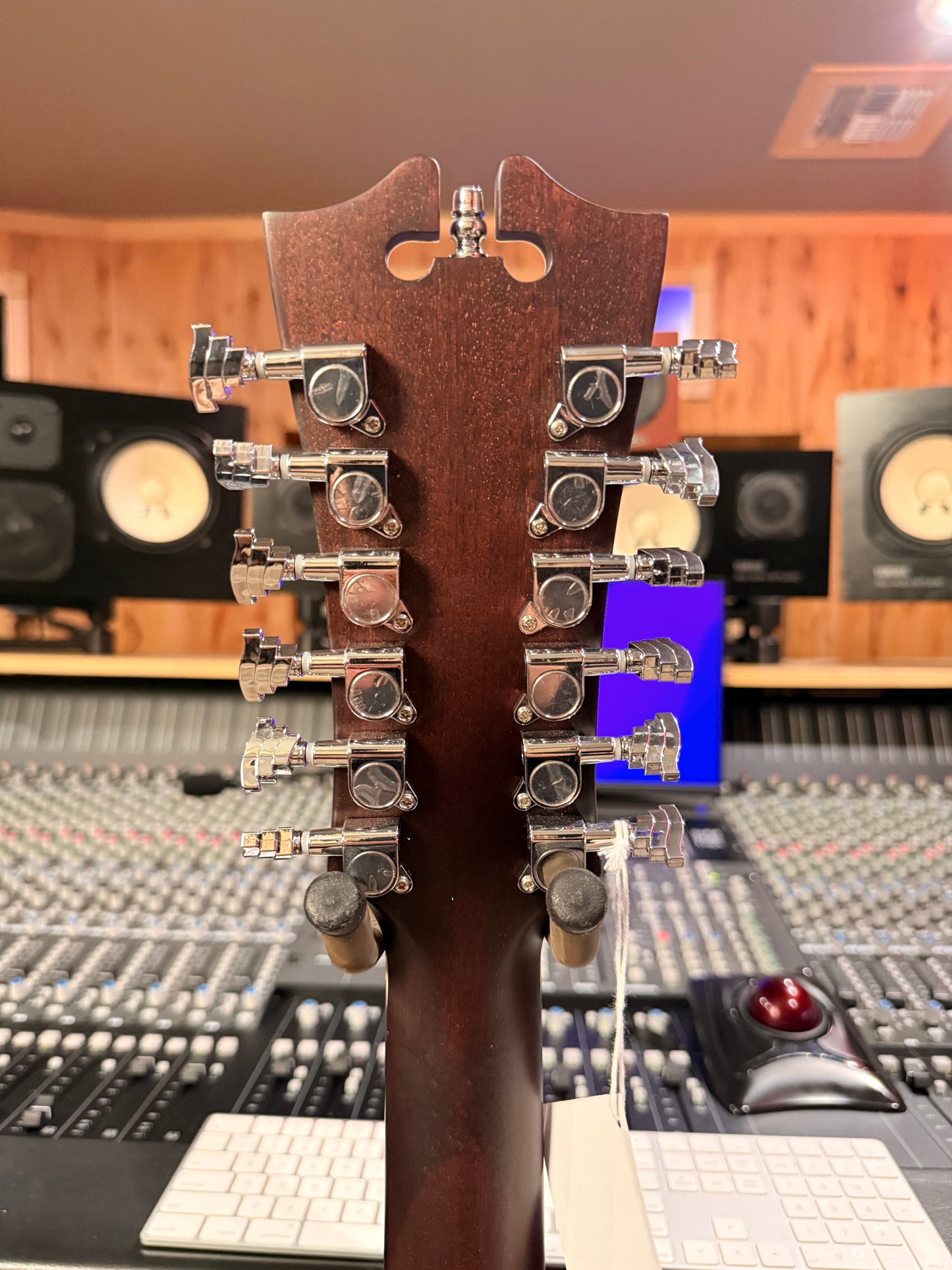 Dangelico LS Black 12 String