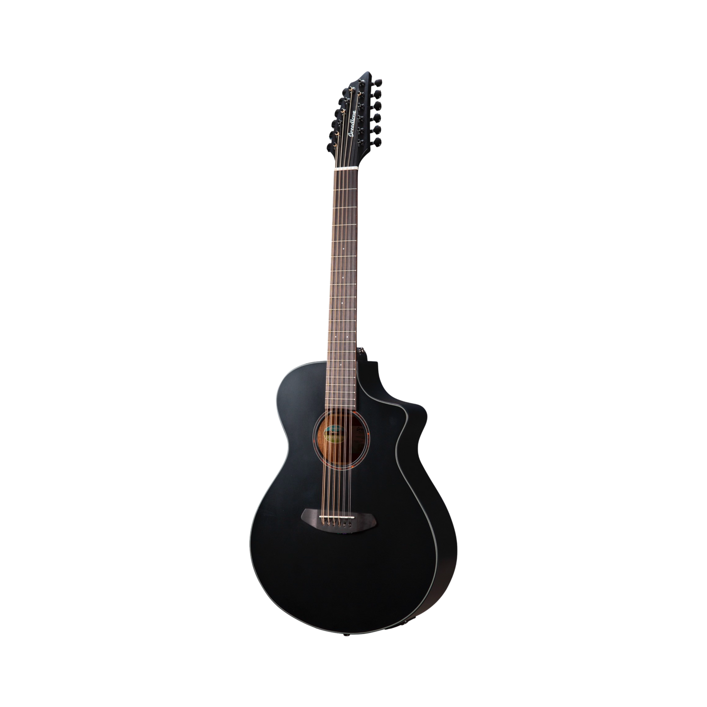 Breedlove Black 12 string