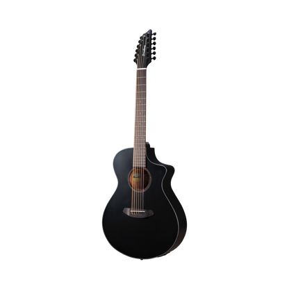 Breedlove Black 12 string