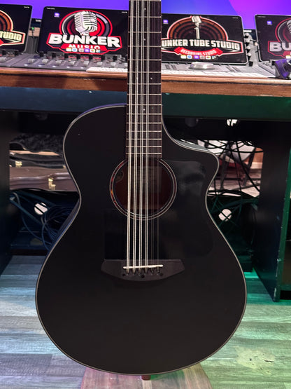 Custom Breedlove Black 12 String