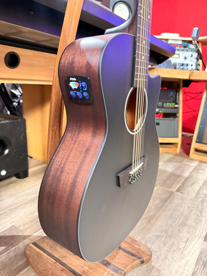 Dangelico LS Black 12 String