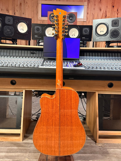 Karma Enso 12 string