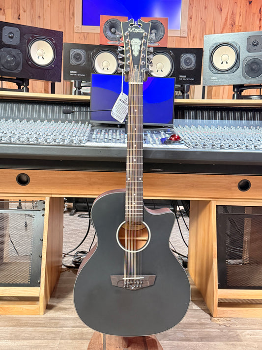 Dangelico LS Black 12 String