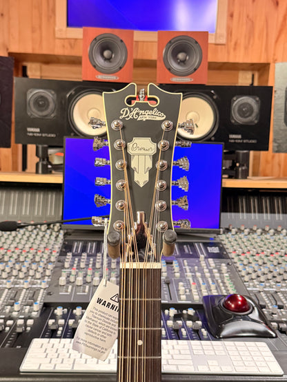 Dangelico LS Black 12 String