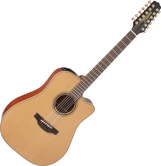 Takamine P3DC-12