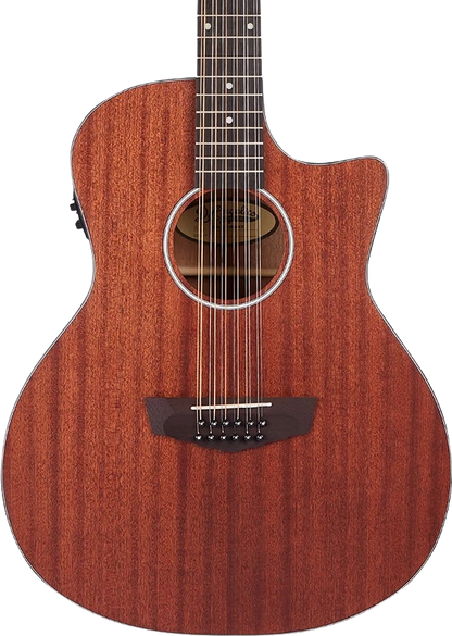 D'angelico 12 String
